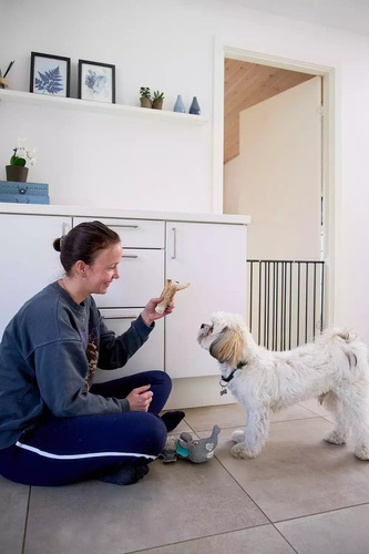 DogSpace - Lucky - przykręcana bramka dla psa, czarna (62.5-106cm)
